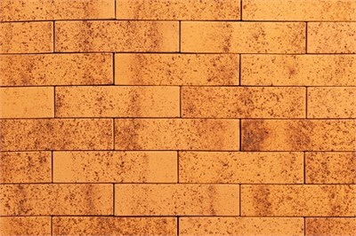 ТАЙГА МОРОШКА 1НФ kQNjBF-yiA7Ydcmwmu11E0