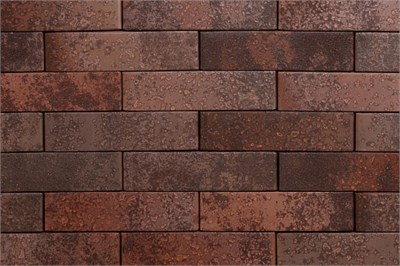 ТАЙГА МОРИОН СЕВЕР 1НФ QAt8gPnwhqsSaZdnhbgBD1 ТАЙГА МОРИОН СЕВЕР 1НФ QAt8gPnwhqsSaZdnhbgBD1