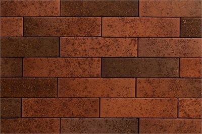 ТАЙГА МОРИОН НА ЗАРЕ 1НФ Xw3xQPMBjDyih3wG0Vguu3