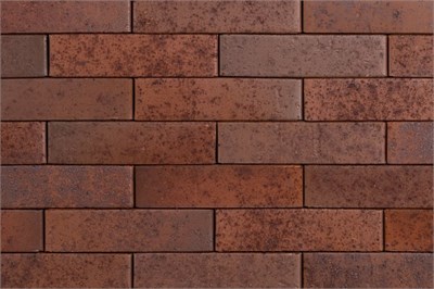 ТАЙГА МОРИОН НА ЗАРЕ 0,5НФ UCc41uzXgpk0VFj970vvI1