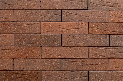 ТАЙГА БОРУС КОРА ДУБА 1 НФ xZQgeSiyhVE-wOLYcp64L0