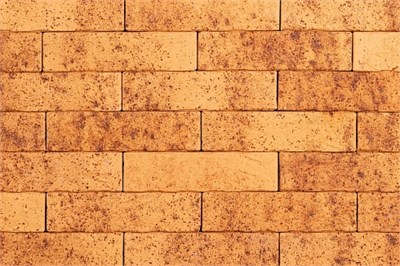 ТАЙГА СКАЛА МОРОШКА 1НФ vmWO-oPwiNEaftS9mNiJY0