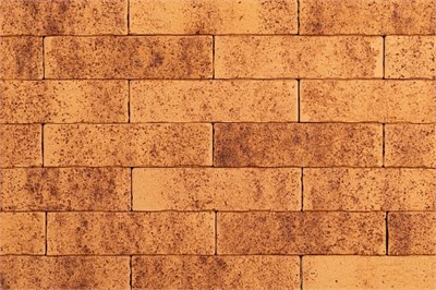 ТАЙГА СКАЛА МОРОШКА 0,7НФ HxZ5qGZqhe5u2b-dnmelA0